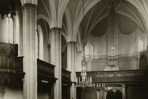 Organ - história